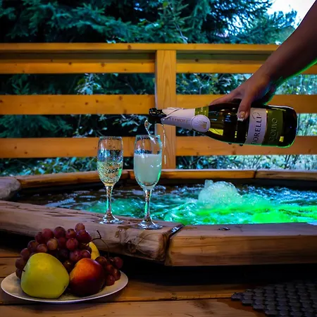 公寓 Olexandr&matvii 布克维