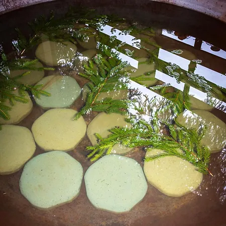 Olexandr&matvii 布克维