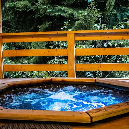 Olexandr&matvii * 布克维