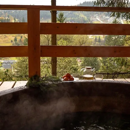 Olexandr&matvii Daire *