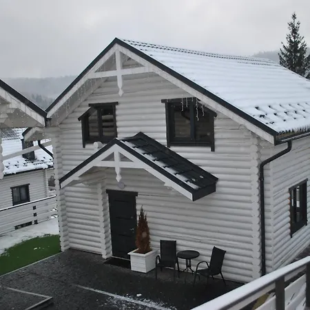 Olexandr&matvii * 布克维