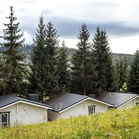 Olexandr&matvii * Bukovel